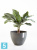 Напольное кашпо Ecopots Antwerp, антрацит 40-d, 30-h Напольное кашпо Ecopots Antwerp, антрацит 40-d, 30-h