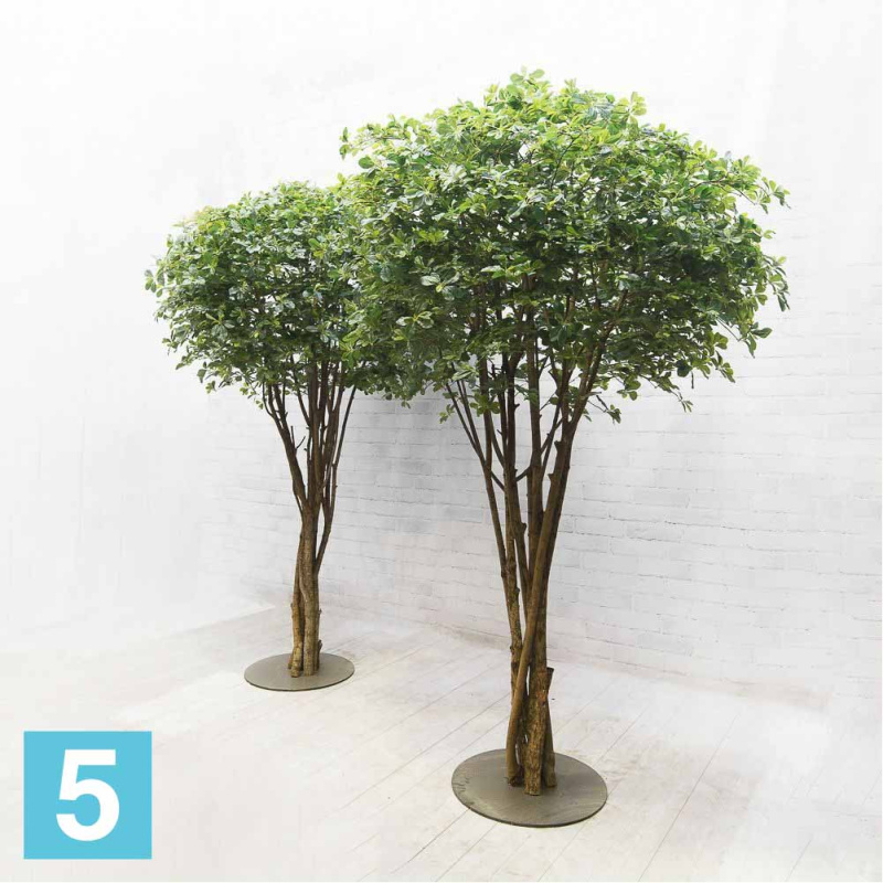 Шеффлера искусственная Alseed, h-320 см. на основании