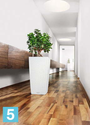 Кашпо с автополивом Lechuza Cubico Cottage, черное графит 30-l, 30-w, 56-h