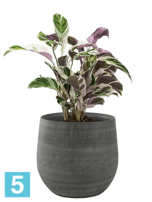 Кашпо Esra pot mystic, серое d-31 h-28 см