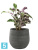 Кашпо Esra pot mystic, серое d-31 h-28 см