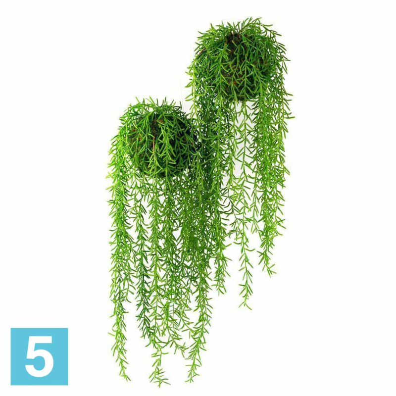 Кокедама с ампельным аспарагусом на шаре искусственная Alseed, d-15 см.