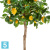 Лимонное дерево искусственное TREEZ Collection с плодами на штамбе 110h