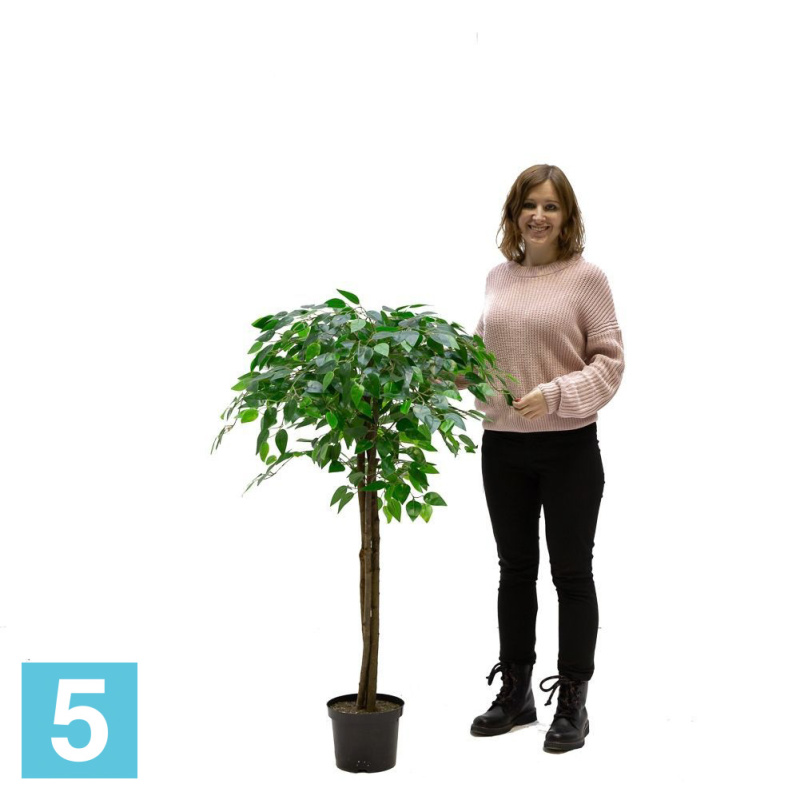 Фикус искусственный Alseed, h-120 см., латекс