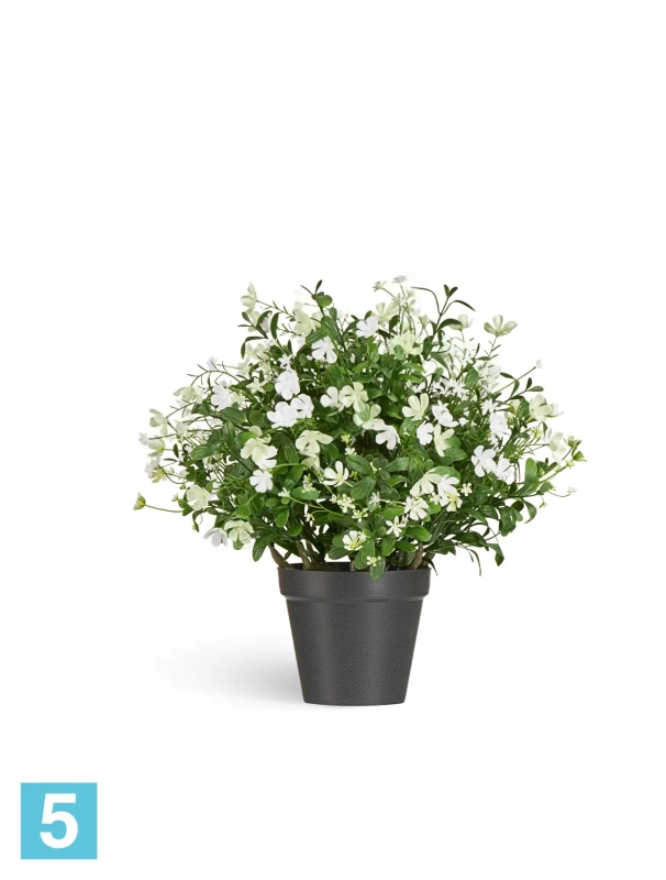 Композиция Альпийское разнотравье с белыми цветами TREEZ Collection 52h