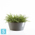 Напольное кашпо Ecopots Frankfurt, антрацит 50-d, 26-h Напольное кашпо Ecopots Frankfurt, антрацит 50-d, 26-h