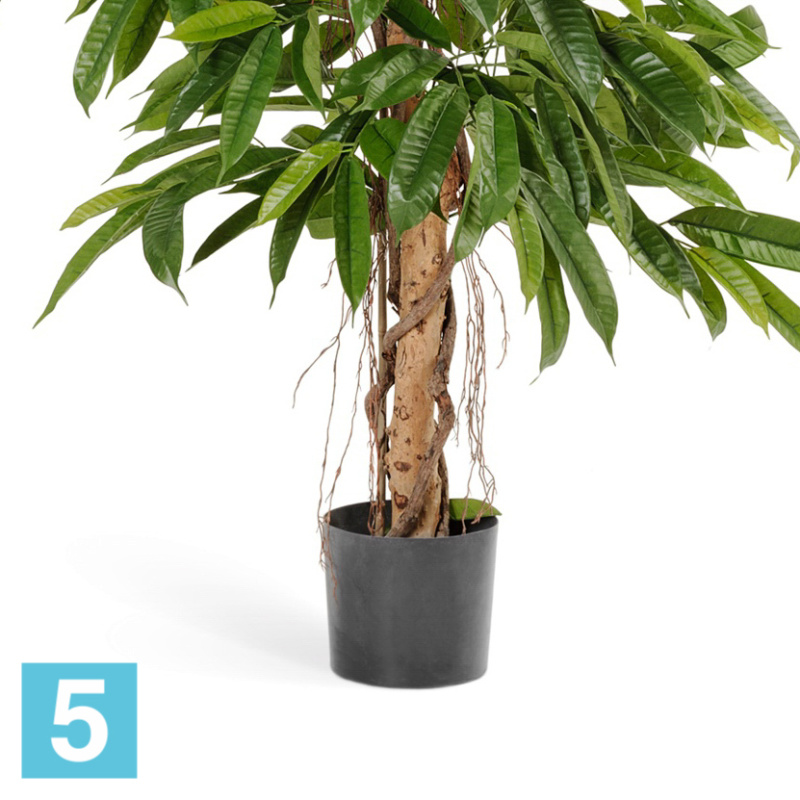 Лонгифолия широколистная искусственная TREEZ Collection 150h
