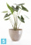 Напольное кашпо Ecopots Antwerp, серо-коричневое 50-d, 40-h