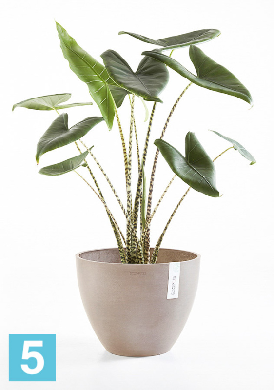 Напольное кашпо Ecopots Antwerp, серо-коричневое 50-d, 40-h