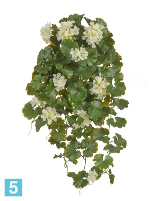 Искусственная Герань ампельная кремовая (UV-фильтр) TREEZ Collection 58h