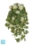 Искусственная Герань ампельная кремовая (UV-фильтр) TREEZ Collection 58h