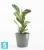 Напольное кашпо Ecopots Venice с поддоном, серое 30-d, 26-h