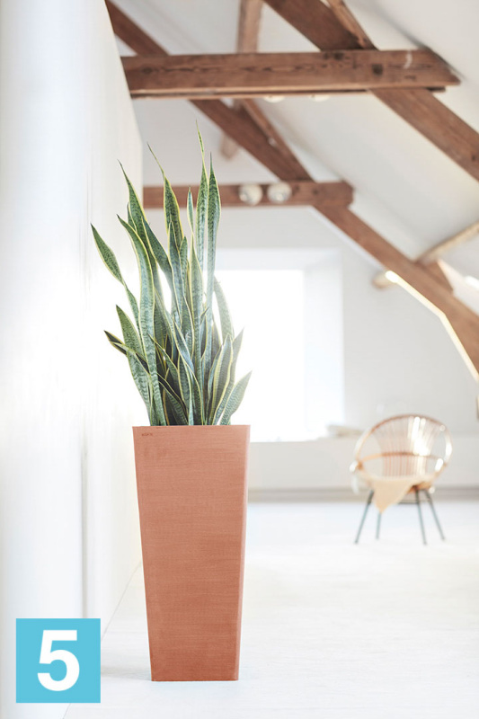 Высокое кашпо Ecopots Rotterdam-H, терракотовое 32-l, 32-w, 70-h