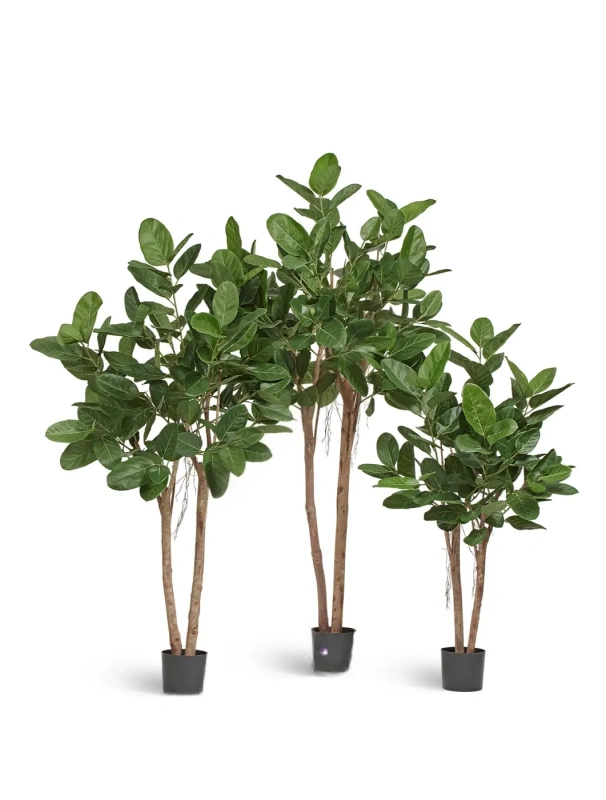 Фикус Одри Бенгальский искусственный TREEZ Collection 170h