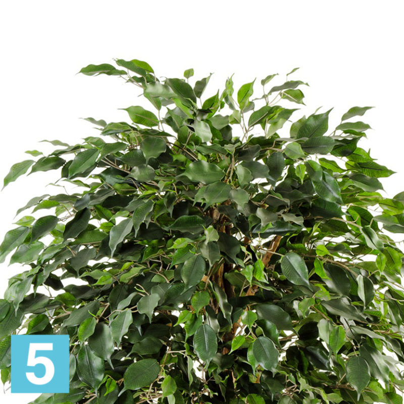 Фикус искусственный TREEZ Collection Бенджамина Зонтичный 150h