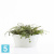 Напольное кашпо Ecopots Frankfurt, светло-серое 41-d, 18-h Напольное кашпо Ecopots Frankfurt, светло-серое 41-d, 18-h