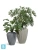 Кашпо TREEZ Effectory Moho Высокий Design-конус, белый песок 66-d, 85-h