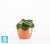 Настольное Кашпо Ecopots Stockholm, терракотовое 16-d, 12-h