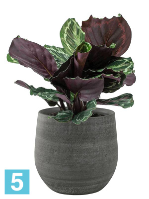 Кашпо Esra pot mystic, серое d-26 h-26 см
