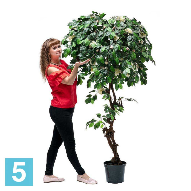 Камелия искусственная Alseed, h-180 см., белая