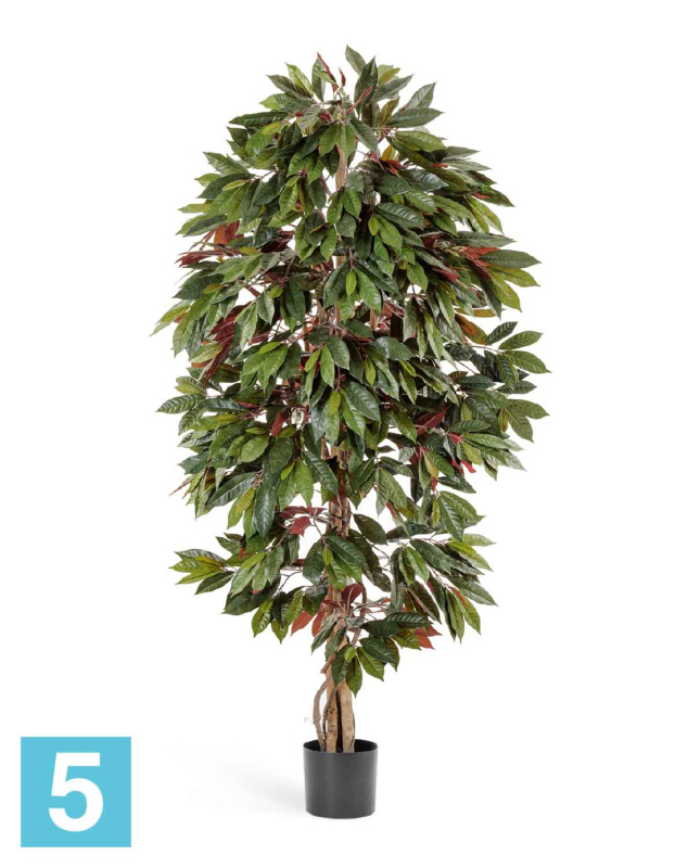 Капенсия 150h искусственная TREEZ Collection