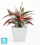 Кашпо с автополивом Ecopots Rotterdam, светло-серое 30-l, 30-w, 26-h Кашпо с автополивом Ecopots Rotterdam, светло-серое 30-l, 30-w, 26-h