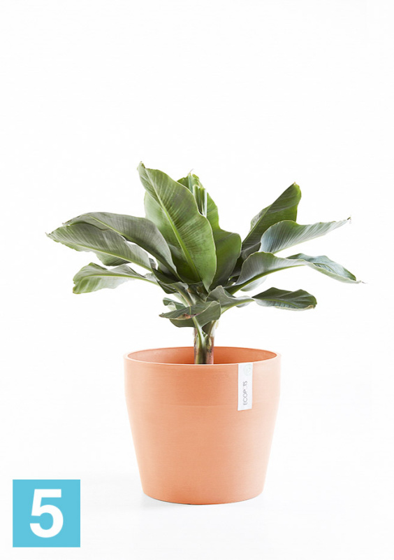 Напольное кашпо Ecopots Sankara, терракотовое 40-d, 35-h