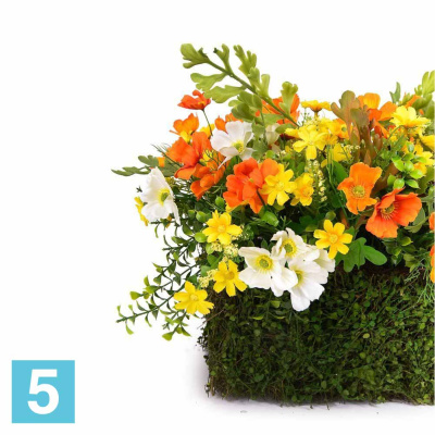 Композиция с ко см.еей в боксе из ряски искусственная Alseed, 25х18х, h-13