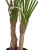 Искусственный филодендрон Гоэлди куст большой TREEZ Collection 110h