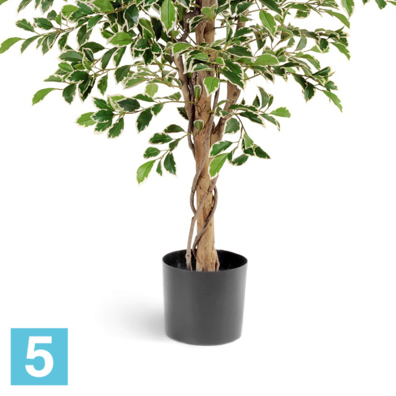 Фикус искусственный TREEZ Collection Фолиа пестрый 130h