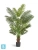 Пальма искусственная TREEZ Collection Арека Хризалидокарпус New 180h
