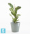 Напольное кашпо Ecopots Venice с поддоном, серо-голубое 30-d, 26-h