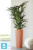 Высокое кашпо Ecopots Amsterdam-H, терракотовое 32-d, 70-h