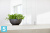 Настольное Кашпо Ecopots Brussels, антрацит 30-d, 14-h