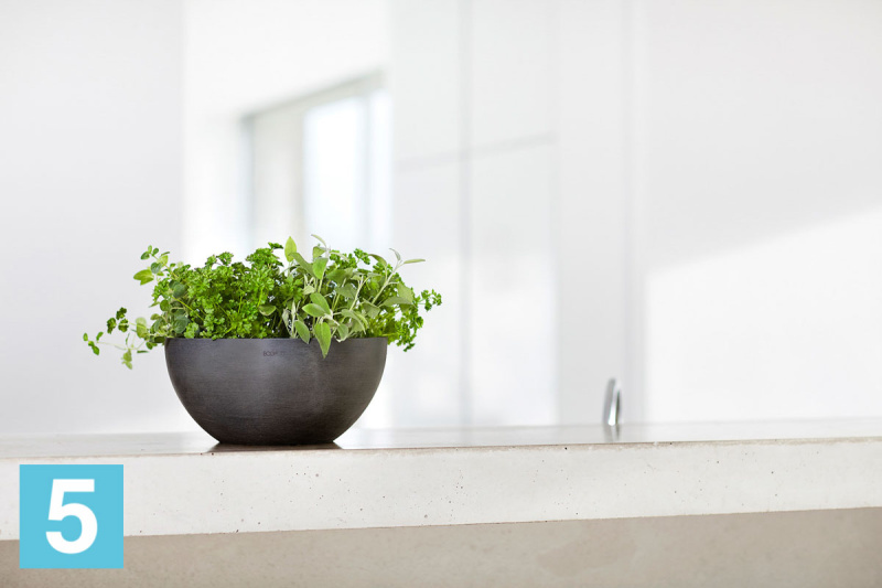 Настольное Кашпо Ecopots Brussels, антрацит 30-d, 14-h