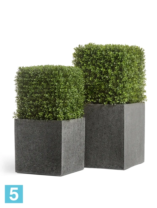 Кашпо TREEZ Effectory Stone Куб, тёмно-серый камень 60-l, 60-w, 60-h