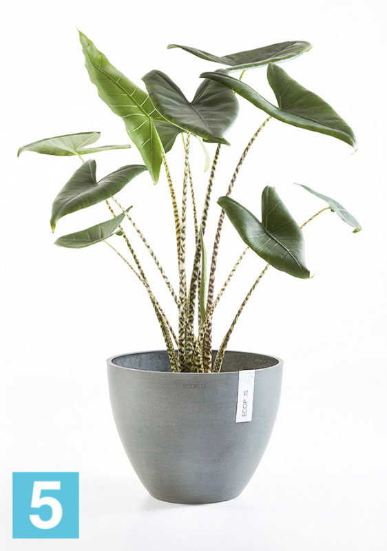 Напольное кашпо Ecopots Antwerp, серое 50-d, 40-h