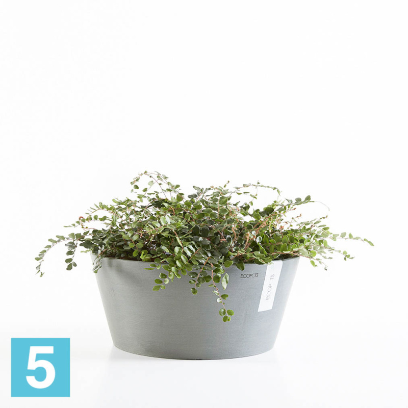 Напольное кашпо Ecopots Frankfurt, серое 41-d, 18-h