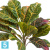 Кротон куст искусственный зелёно-жёлто-розовый (Sensitive Botanic) TREEZ Collection