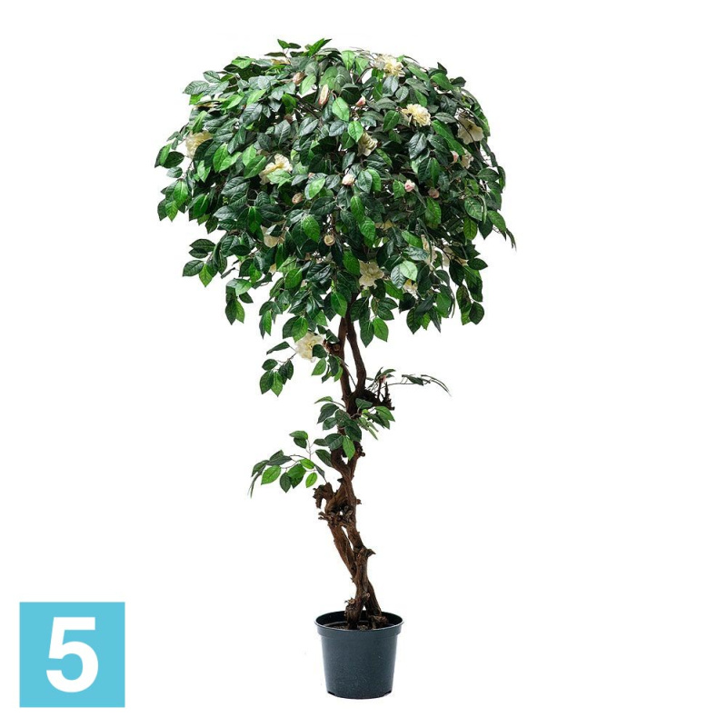 Камелия искусственная Alseed, h-180 см., белая