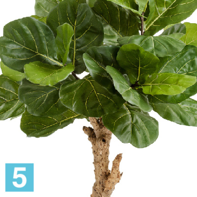 Фикус искусственный TREEZ Collection Лирата Форест 115h в #REGION_NAME_DECLINE_PP#