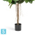 Фикус искусственный TREEZ Collection Эластика зеленый 210h