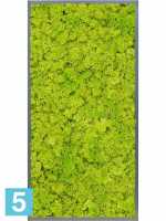 Картина из искусственного мха атласный блеск 100% олений мох (весенний зеленый) l-120 w-60 h-6 см в Москве