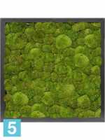 Картина из искусственного мха сатин блеск 100% шаровый мох темный l-40 w-40 h-6 см в Москве