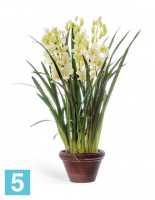 Искусственный цветок в горшке Орхидея Цимбидиум куст белый большой (в кашпо) TREEZ Collection в #REGION_NAME_DECLINE_PP#