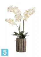 Искусственный цветок в горшке Орхидея Фаленопсис белая (Sensitive Botanic) Композиция в кашпо под дерево TREEZ Collection в #REGION_NAME_DECLINE_PP#