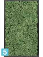 Картина из искусственного мха атласный блеск 100% олений мох (мох зеленый) l-100 w-60 h-6 см в Москве