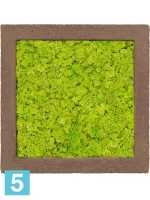 Картина из искусственного мха polystone rock 100% северный мох (весенний зеленый) l-50 w-50 h-5 см в Москве
