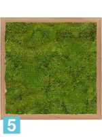 Картина из искусственного мха бамбук 100% плоский мох l-40 w-40 h-6 см в Москве