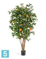 Апельсиновое дерево искусственное TREEZ Collection с плодами 180h в #REGION_NAME_DECLINE_PP#